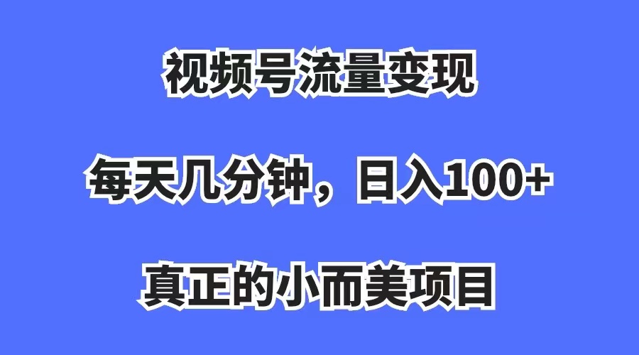 视频号流量变现，每天几分钟，收入100+，真正的小而美项目-91搞钱