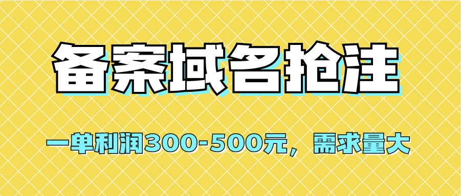【全网首发】备案域名抢注，一单利润300-500元，需求量大-91搞钱