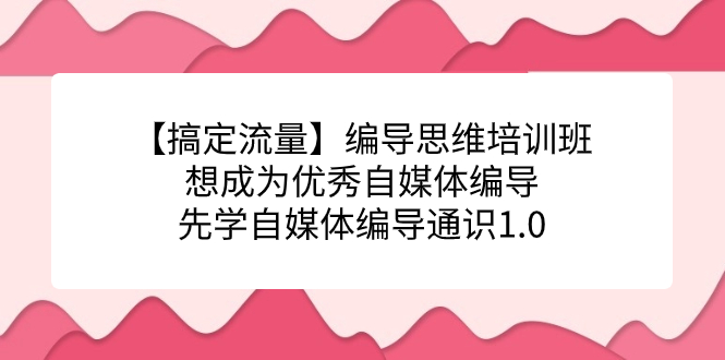 【搞定流量】编导思维培训班,想成为优秀自媒体编导先学自媒体编导通识1.0-91搞钱