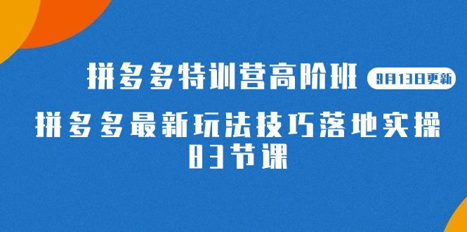 2023拼多多·特训营高阶班【9月13日更新】拼多多最新玩法技巧落地实操-83节-91搞钱