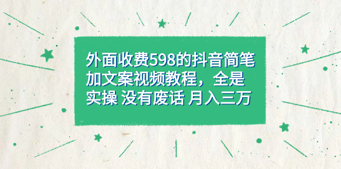 外面收费598抖音简笔加文案教程,全是实操 没有废话 月入三万(教程+资料)-91搞钱