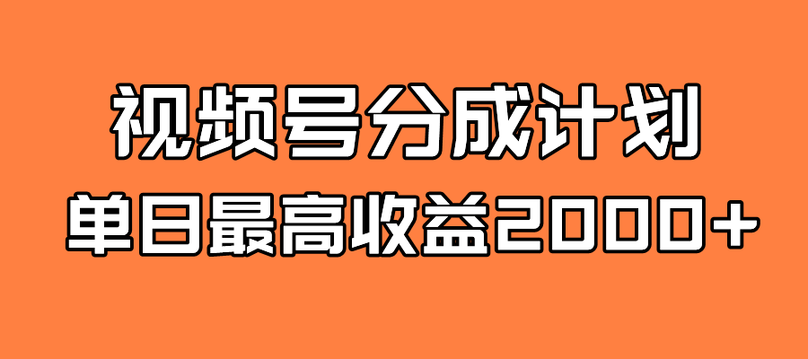全新蓝海 视频号掘金计划 日入2000+-91搞钱