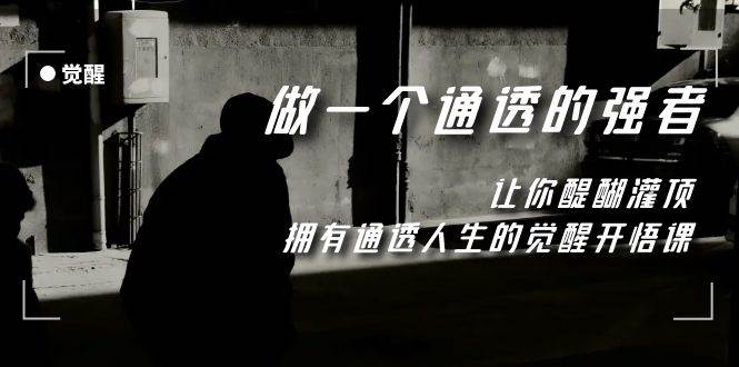 觉醒-做一个通透强者，让你醍醐灌顶，拥有通透人生，掌握强大的秘密-91搞钱