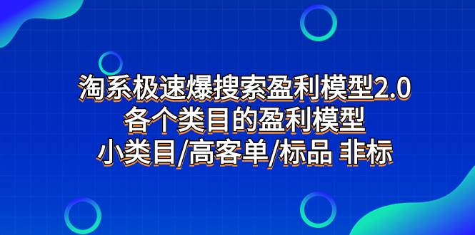 淘系极速爆搜索盈利模型2.0,各个类目的盈利模型,小类目/高客单/标品 非标-91搞钱