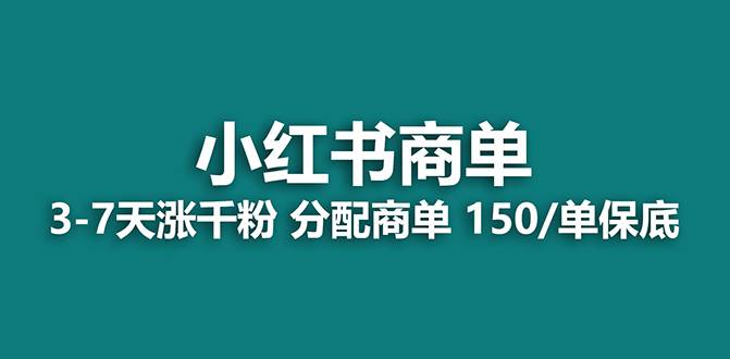 【蓝海项目】2023最强蓝海项目，小红书商单项目，没有之一！-91搞钱