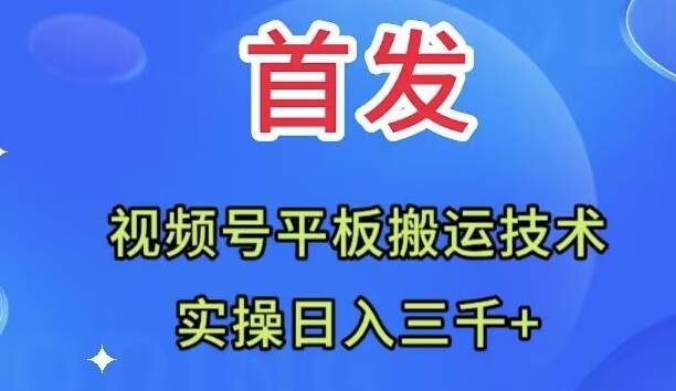 全网首发：视频号平板搬运技术，实操日入三千＋-91搞钱