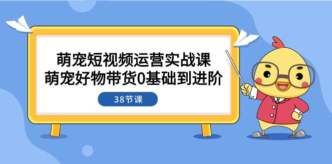 萌宠·短视频运营实战课:萌宠好物带货0基础到进阶(38节课)-91搞钱