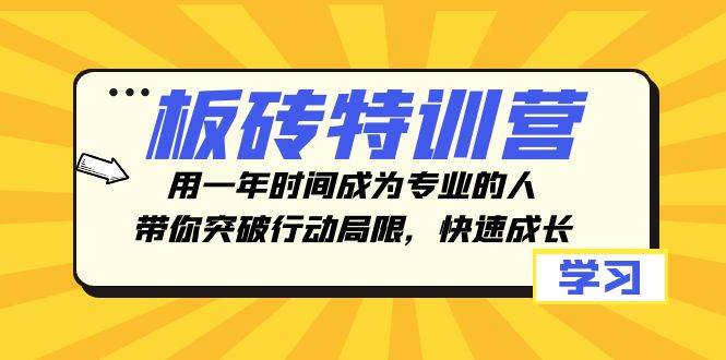 板砖特训营，用一年时间成为专业的人，带你突破行动局限，快速成长-91搞钱