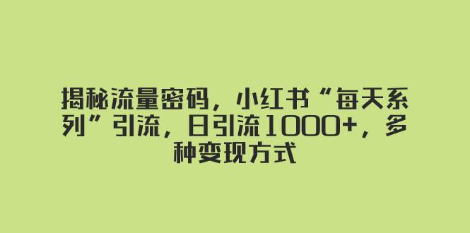揭秘流量密码,小红书“每天系列”引流,日引流1000+,多种变现方式-91搞钱