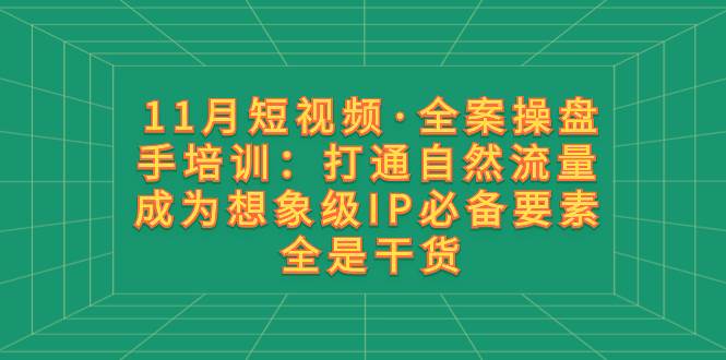 11月短视频·全案操盘手培训:打通自然流量 成为想象级IP必备要素 全是干货-91搞钱