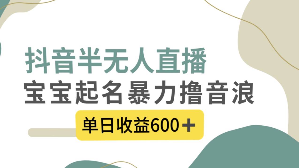 抖音半无人直播,宝宝起名,暴力撸音浪,单日收益600+-91搞钱