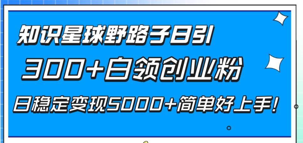 知识星球野路子日引300+白领创业粉,日稳定变现5000+简单好上手!-91搞钱