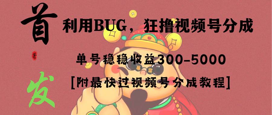 全网独家首发，视频号BUG，超短期项目，单号每日净收益300-5000！-91搞钱