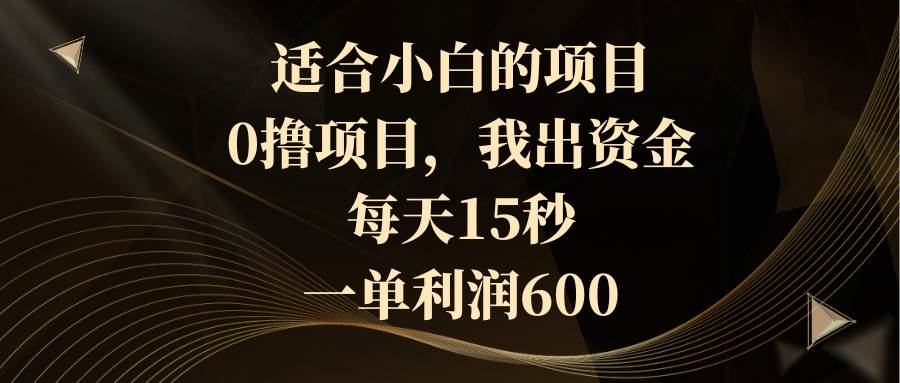 适合小白的项目，0撸项目，我出资金，每天15秒，一单利润600-91搞钱