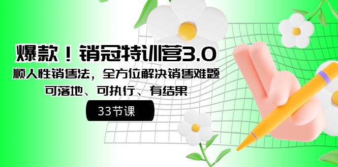 爆款！销冠特训营3.0之顺人性销售法，全方位解决销售难题、可落地、可执行、有结果-91搞钱