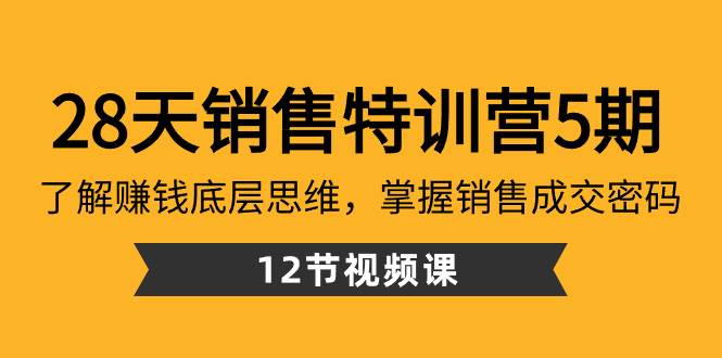 28天·销售特训营5期:了解赚钱底层思维,掌握销售成交密码(12节课)-91搞钱