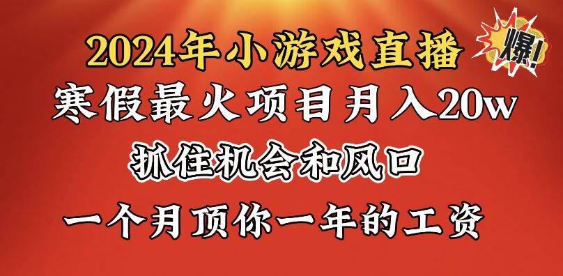 2024年寒假爆火项目,小游戏直播月入20w+,学会了之后你将翻身-91搞钱