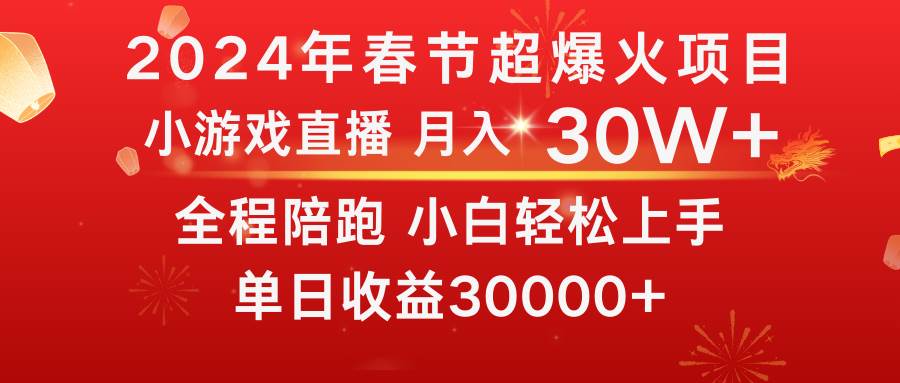 龙年2024过年期间,最爆火的项目 抓住机会 普通小白如何逆袭一个月收益30W+-91搞钱