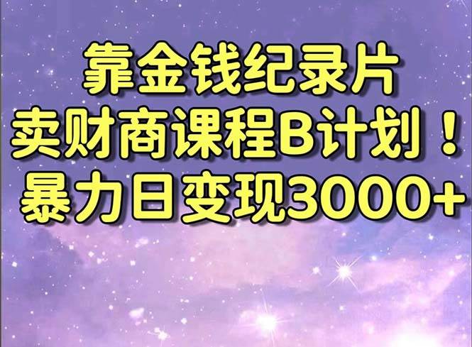 靠金钱纪录片卖财商课程B计划！暴力日变现3000+，喂饭式干货教程！-91搞钱
