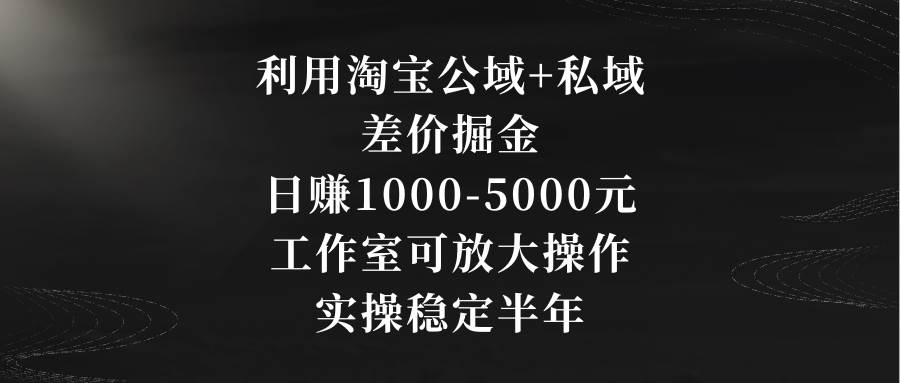 利用淘宝公域+私域差价掘金，日赚1000-5000元，工作室可放大操作，实操...-91搞钱