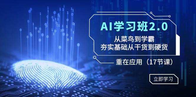AI学习班2.0:从菜鸟到学霸,夯实基础从干货到硬货,重在应用(17节课)-91搞钱