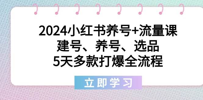 2024小红书养号+流量课:建号、养号、选品,5天多款打爆全流程-91搞钱