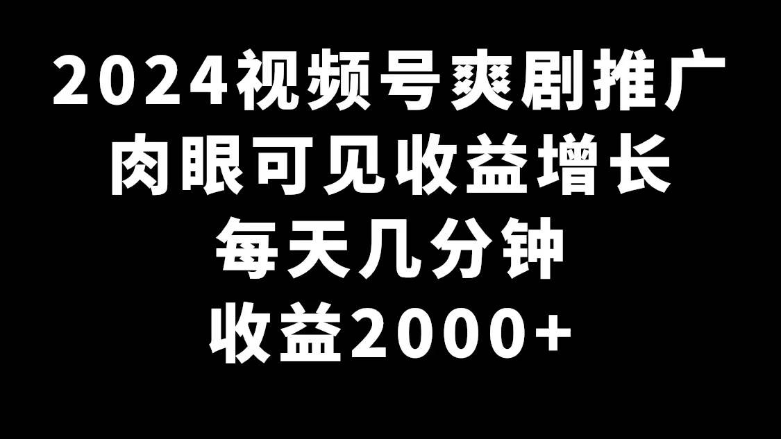 2024视频号爽剧推广，肉眼可见的收益增长，每天几分钟收益2000+-91搞钱