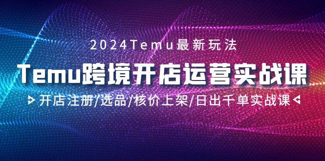 2024Temu跨境开店运营实战课，开店注册/选品/核价上架/日出千单实战课-91搞钱