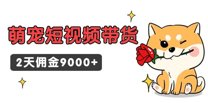 东哲日记·萌宠短视频带货，2天佣金9000+-91搞钱