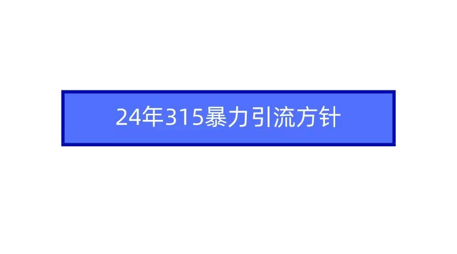 2024年315暴力引流方针-91搞钱