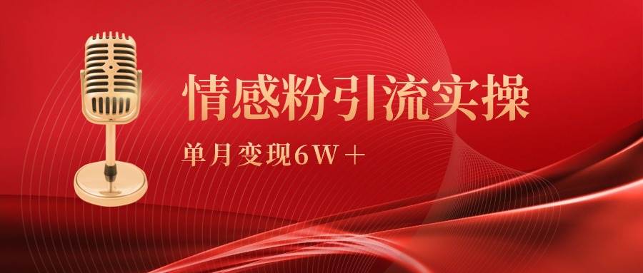 单月变现6w+，情感粉引流变现实操课-91搞钱