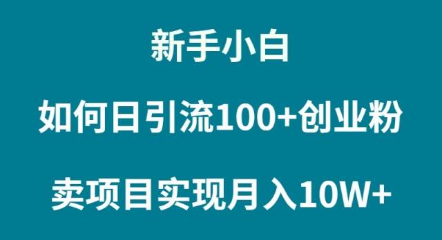 新手小白如何通过卖项目实现月入10W+-91搞钱
