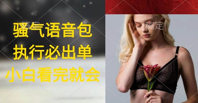 执行就出单，日入2000+，超火骚气语音包，小白看完课程就能马上实操-91搞钱