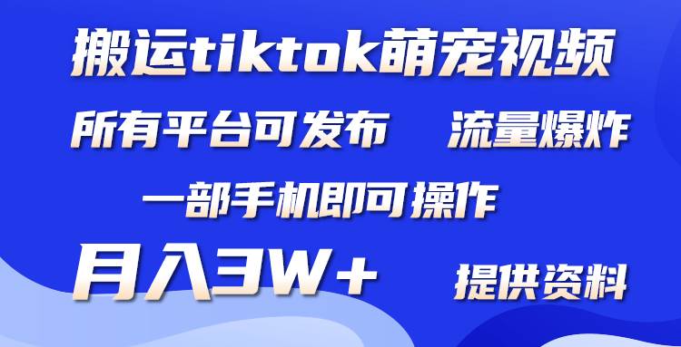 搬运Tiktok萌宠类视频，一部手机即可。所有短视频平台均可操作，月入3W+-91搞钱