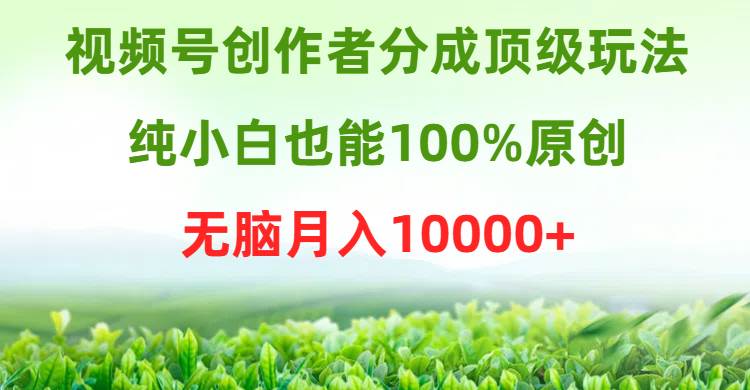 视频号创作者分成顶级玩法，纯小白也能100%原创，无脑月入10000+-91搞钱