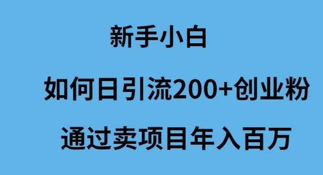 新手小白如何日引流200+创业粉通过卖项目年入百万-91搞钱
