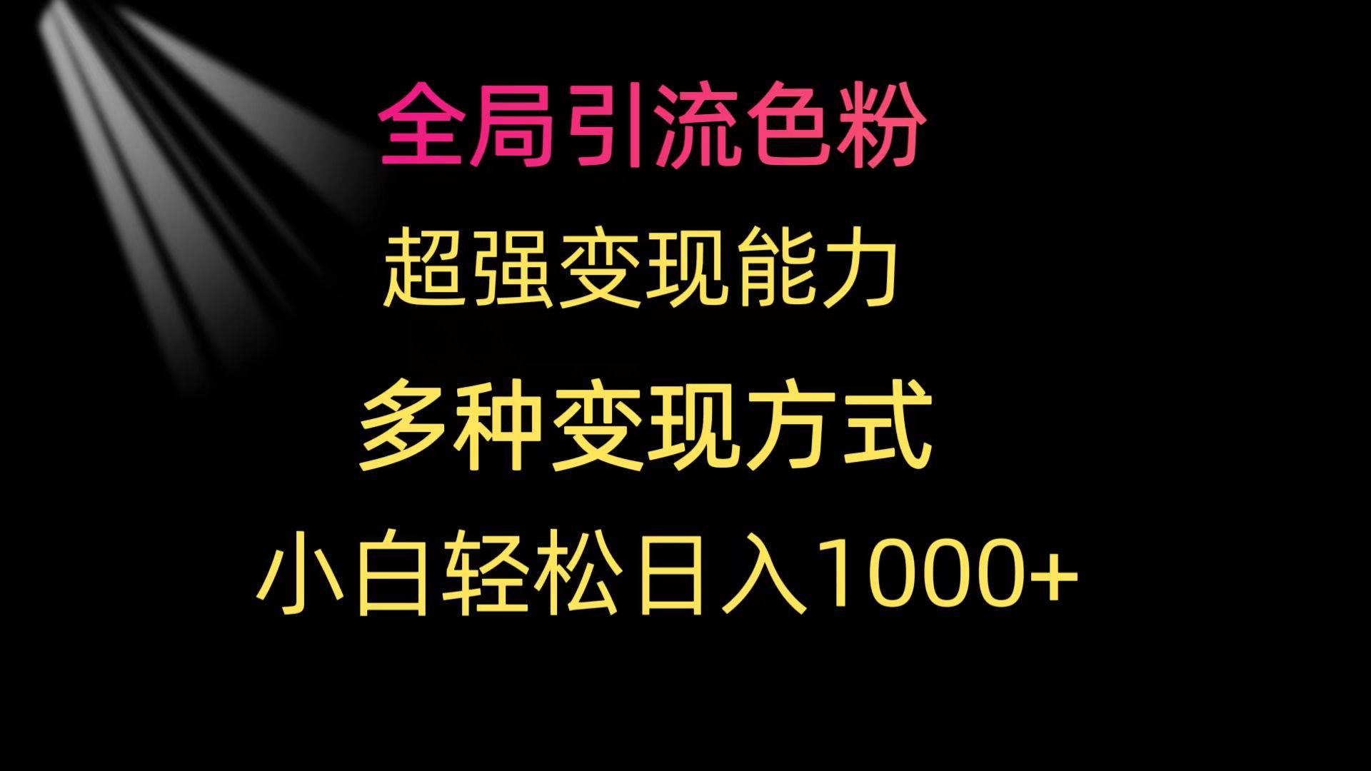 全局引流色粉 超强变现能力 多种变现方式 小白轻松日入1000+-91搞钱