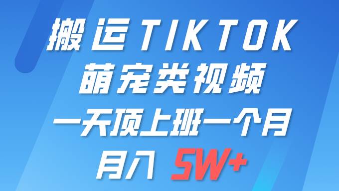 一键搬运TIKTOK萌宠类视频 一部手机即可操作 所有平台均可发布 轻松月入5W+-91搞钱