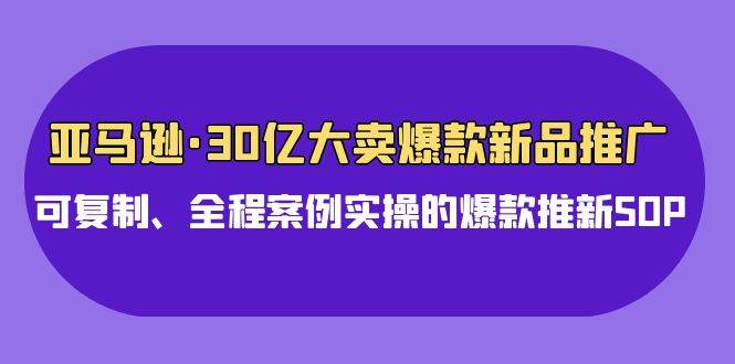 亚马逊30亿·大卖爆款新品推广,可复制、全程案例实操的爆款推新SOP-91搞钱