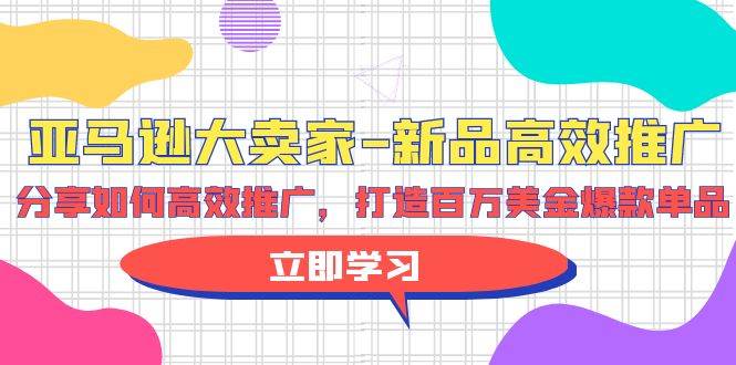 亚马逊 大卖家-新品高效推广,分享如何高效推广,打造百万美金爆款单品-91搞钱