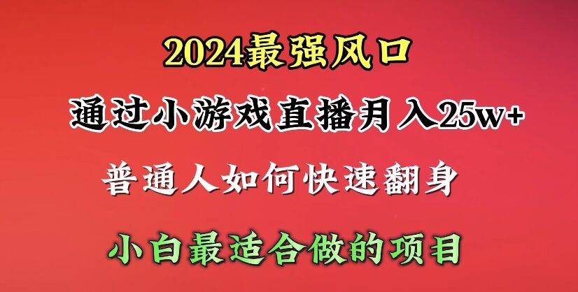 2024年最强风口，通过小游戏直播月入25w+单日收益5000+小白最适合做的项目-91搞钱