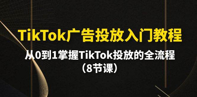 TikTok广告投放入门教程，从0到1掌握TikTok投放的全流程（8节课）-91搞钱