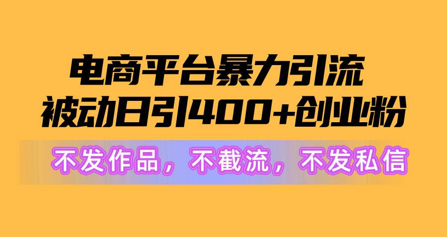 电商平台暴力引流,被动日引400+创业粉不发作品,不截流,不发私信-91搞钱
