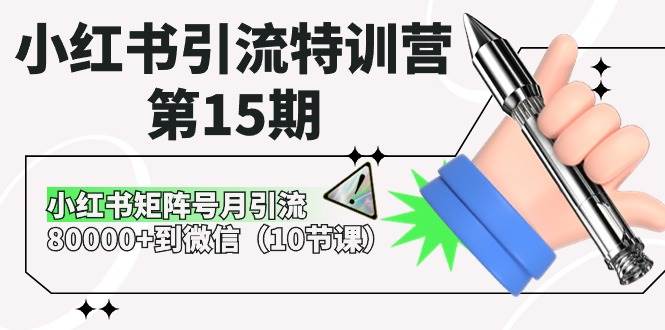 小红书引流特训营-第15期,小红书矩阵号月引流80000+到微信(10节课)-91搞钱