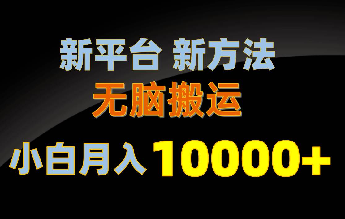 新平台新方法，无脑搬运，月赚10000+，小白轻松上手不动脑-91搞钱