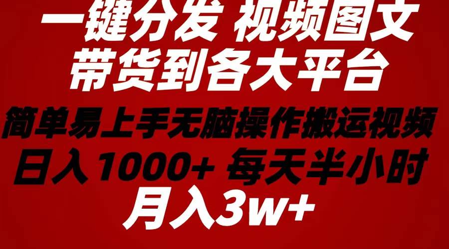 2024年 一键分发带货图文视频 简单易上手 无脑赚收益 每天半小时日入1...-91搞钱