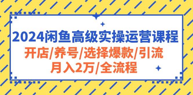 2024闲鱼高级实操运营课程：开店/养号/选择爆款/引流/月入2万/全流程-91搞钱