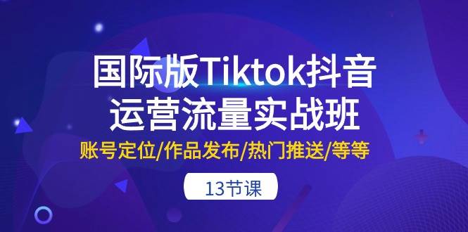 国际版Tiktok抖音运营流量实战班：账号定位/作品发布/热门推送/等等-13节-91搞钱