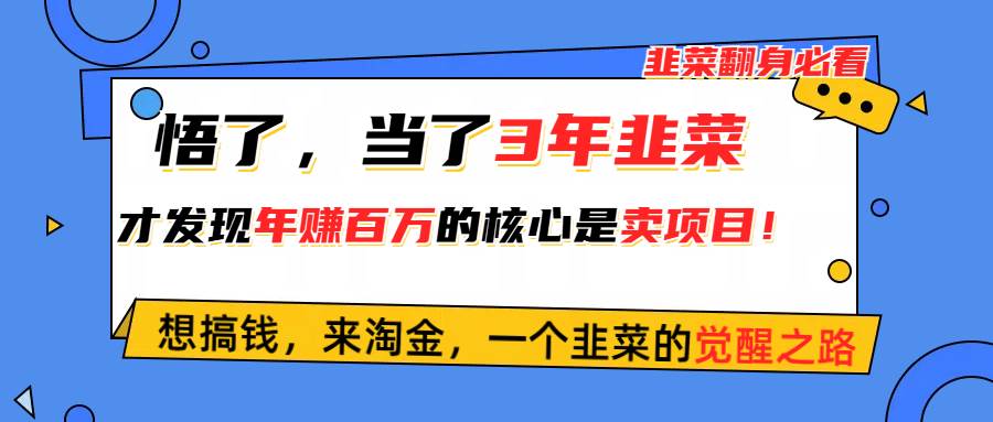 悟了，当了3年韭菜，才发现网赚圈年赚100万的核心是卖项目，含泪分享！-91搞钱