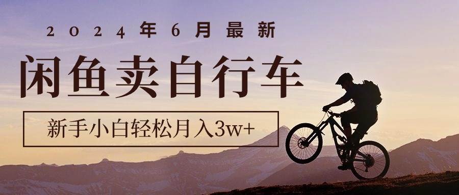 2024年6月最新闲鱼卖自行车，新手小白轻松月入3w+项目-91搞钱